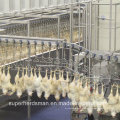 Equipo de producción de sacrificio de aves de corral automático